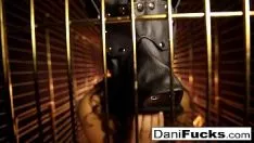 Play Dani book of the prophet daniels a cornered bspoil interior a dog cage in