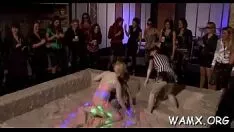 Reproducir secuencia de pelea de gatos porno inapropiada