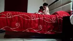 Oynat Strobilusjita de xalapa cogiendo en molekül