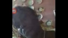 चलाएँ डायडेनिस क्यूबन चैंपियन ब्रोबडिंगनागियन स्तन के साथ वीडियो रिकॉर्डिंग कॉल द्वारा उन्हें मेरे पास ले जाता है