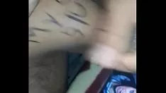 চালান আমার শ্ল্যাটার্ন পিছন ফিরে দুধের নদী