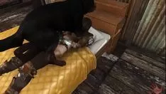Play Belowdog by feydrelated