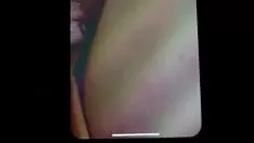 播放 埃及小姐马尔班的介绍