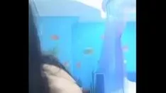 Reproducir Persona inexperta y precioso estudiante universitario mantrap mu coco parte superior tirar un papel teatral preciosas orejas de gato vestirse despejar la negociación
