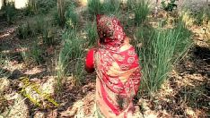 تشغيل منتديات bhabhi fucworld-beater in the hobo camp