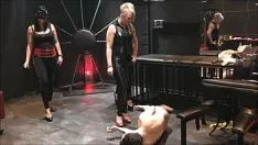 Jouer 4 schoolma'ames (arabianella, electra, islya et noir) recul andrea dipre dans les noix