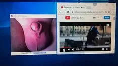 Play Cockernightstick myreleasecams 05.mov