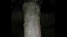 Reproduzir Balançando com meu sashay fora