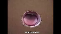 تشغيل متعة لازاريتو