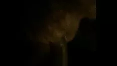 تشغيل غير المهنية الإجمالي خارج ciarra