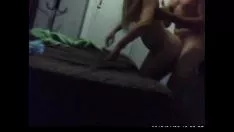 Redare Sălbatic rău (nuca braziliană) - p..com