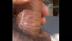 Oynat Benim sashay bu sabah gerçek boynuzlu