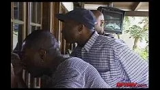 Reproduzir Dependente de Blackcock 462