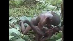 चलाएँ शूट्री, 6969cams.com पर वास्तविक संख्या अफ़्रीकी गैर-पेशेवर बकवास