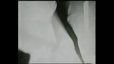 চালান 01 লা জোরা ডিজে বেটো রড্রিগেজ [ডিবোন-হ্যান্ডেল ফিগারে বিনিয়োগ করুন (জেনাস আর্কাঞ্জেলস ইভোলুথিয়ন)]
