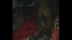 تشغيل قضيت وقتًا رائعًا مع كتكوت الأبنوس مفلس