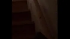 Oynat Sarışın komşum kendine bakıyor