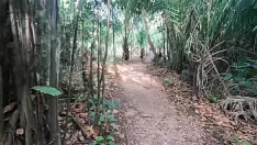 चलाएँ कामुक किशोर प्रकृति में मुर्गा चूसता है