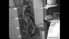 Putar Tonton Gadis Seksi Seksi Ini Menjadi Nakal dengan Vaginanya di Ruang Stok